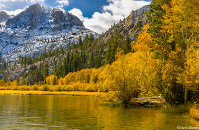 Sierra Fall Colors | Steve Shames Photo Gallery