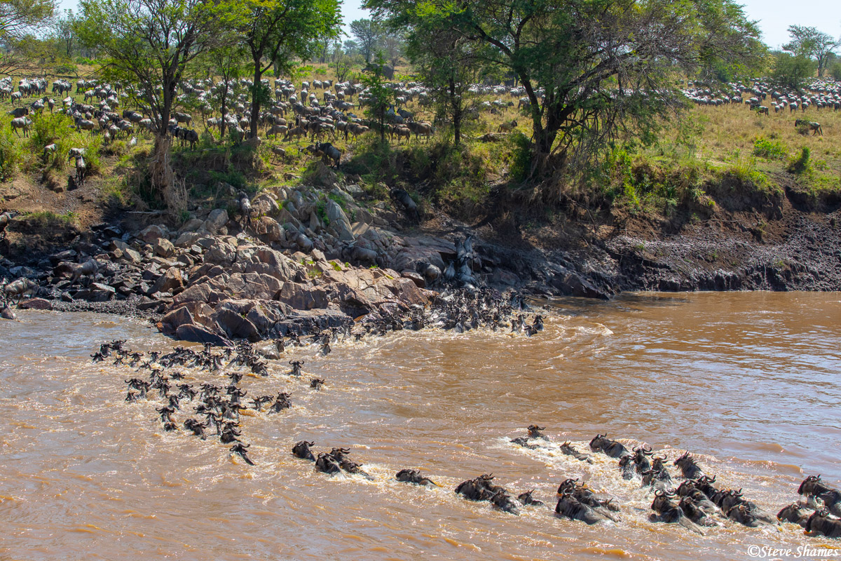 Serengeti-Crossing the Mara | Serengeti National Park, Tanzania 2020 ...