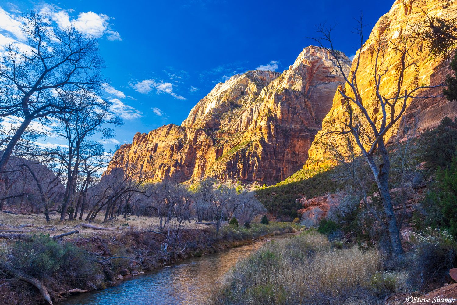 Virgin River Scene | Zion National Park, Utah | Steve Shames Photo Gallery